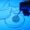 Emerging Trends: Breakthroughs in Cell Biology Research